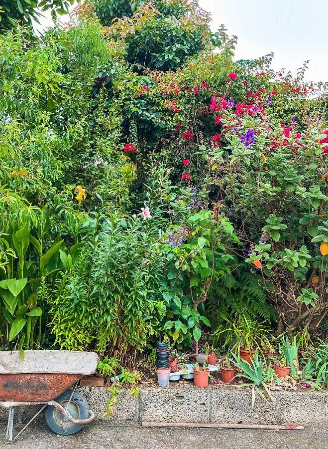 Apartment With Huge Deck Nestled In Marvelous Gardens - Nidos La Orotava