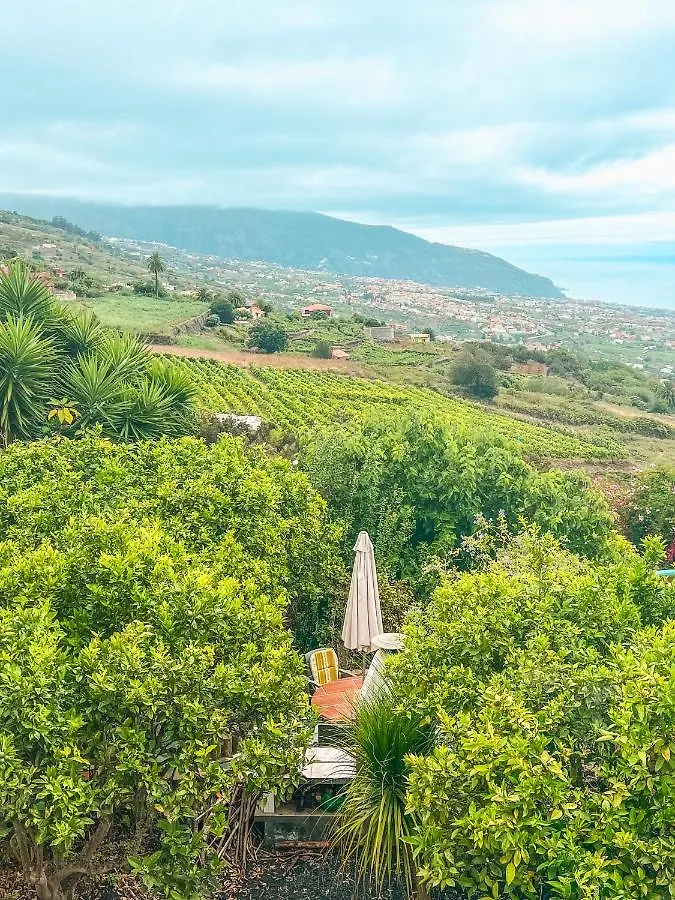 Apartment With Huge Deck Nestled In Marvelous Gardens - Nidos La Orotava Spain
