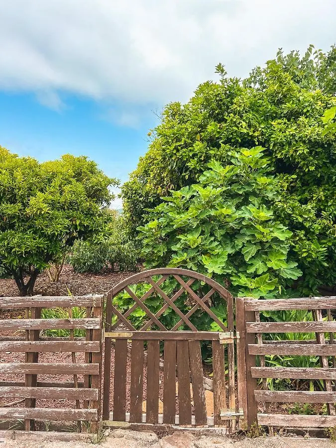 Apartment With Huge Deck Nestled In Marvelous Gardens - Nidos La Orotava 0*,