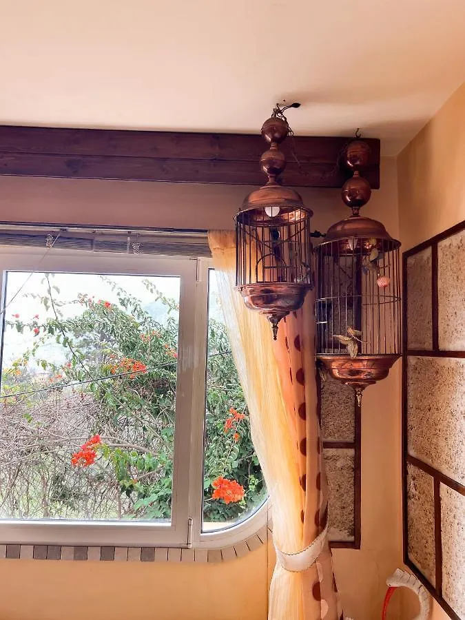 Apartment With Huge Deck Nestled In Marvelous Gardens - Nidos La Orotava